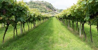 villa-alberta-torbole-garda-dintorni-r-vuilleumier